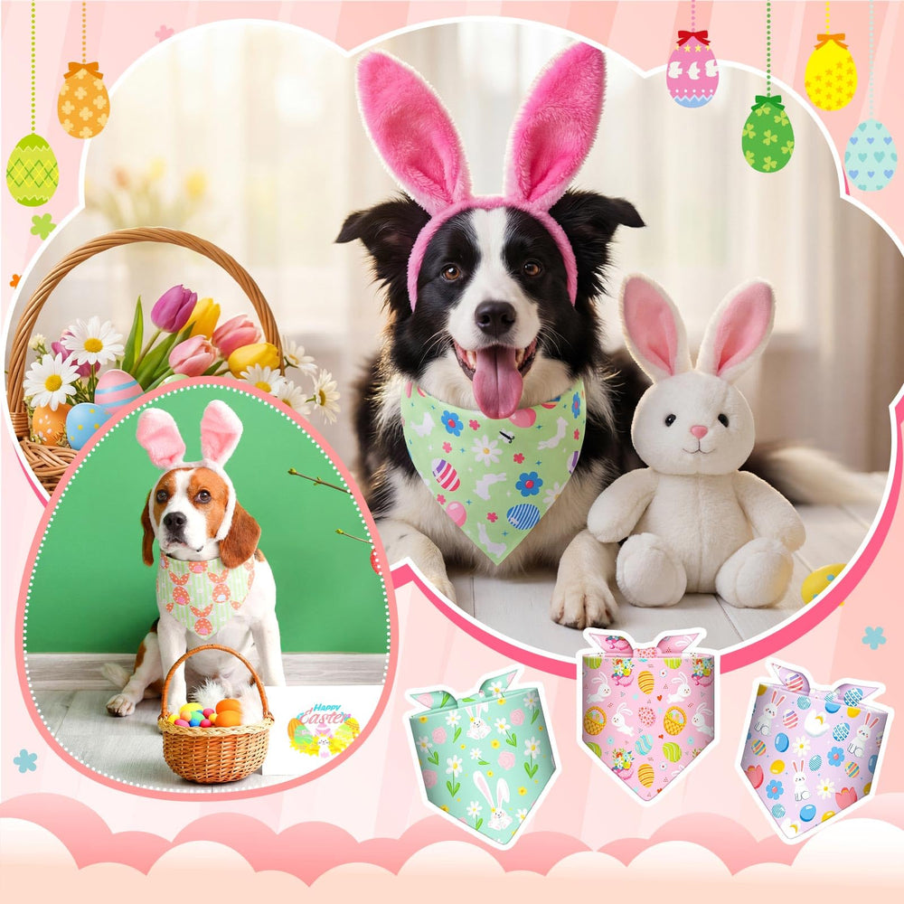 Idées d’utilisation Bulyoou pour fêtes, photos et cadeaux canins.