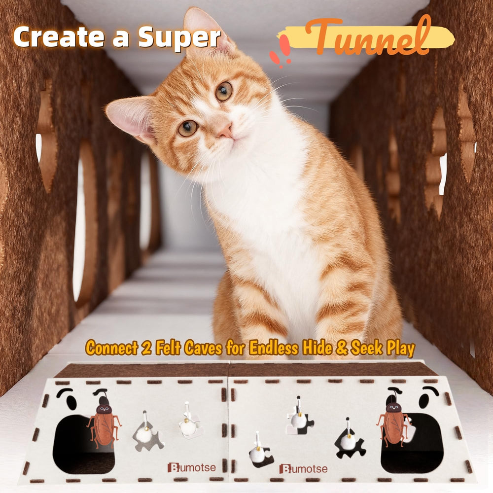 Tunnel chat Bumotse avec balle sonore: stimulation et jeu mental