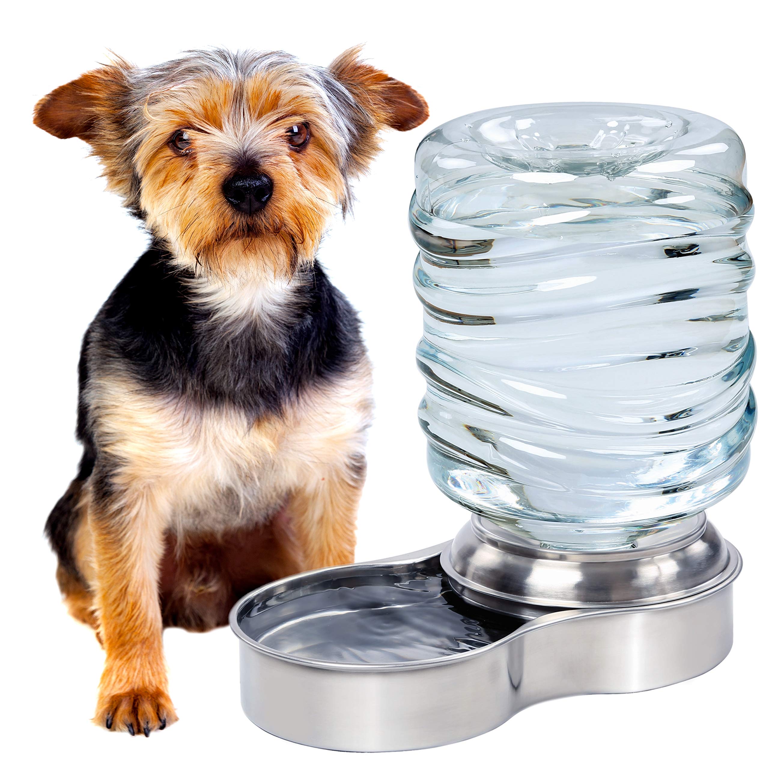 Bundaloo distributeur d’eau pour chien avec bol inox et système gravité pour hydratation continue