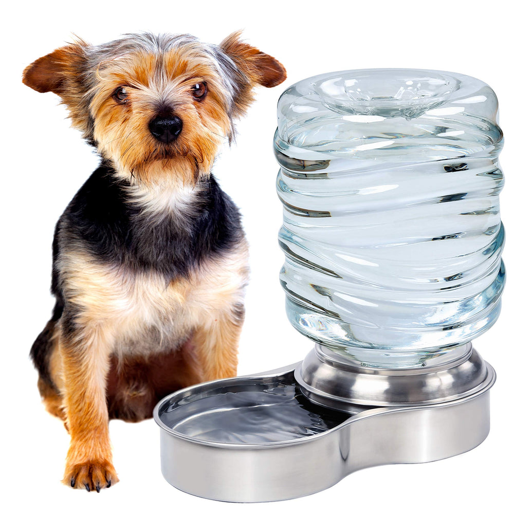 Bundaloo distributeur d’eau pour chien avec bol inox et système gravité pour hydratation continue