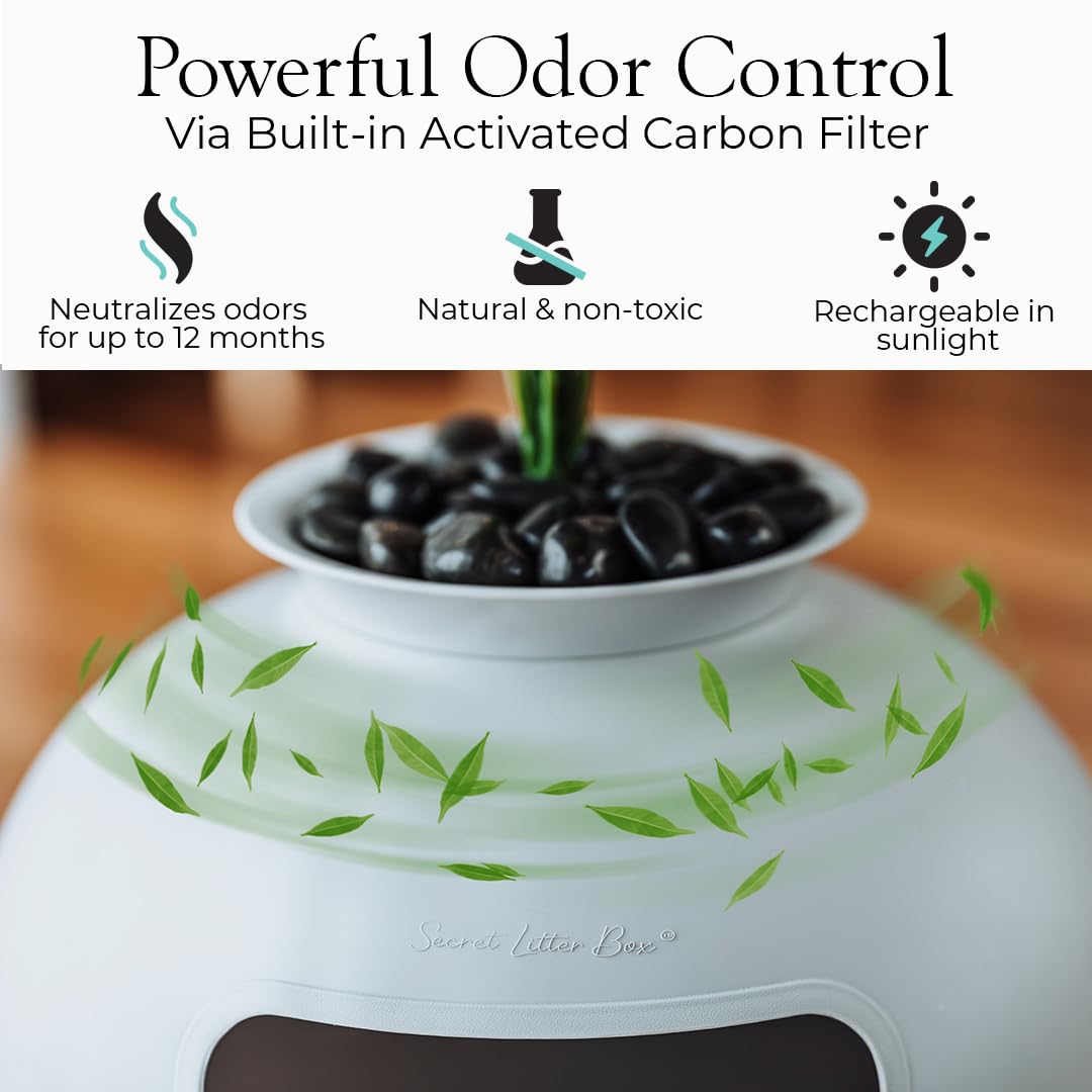Bundle et Bliss filtre carbone actif : maîtrise des odeurs pour un intérieur plus frais.