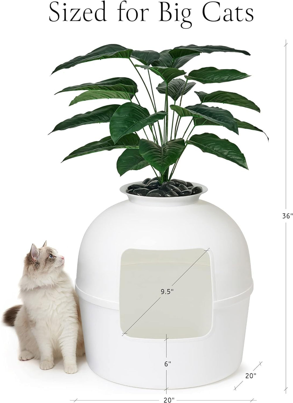 Bundle et Bliss garantie 30 jours : tranquillité et soutien après achat.