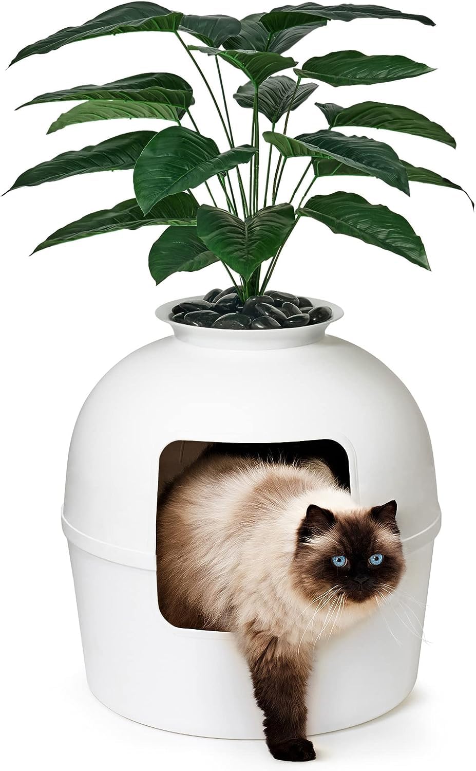 Bundle et Bliss litière cachée intérieure : discrète et élégante pour votre salon et votre chat.