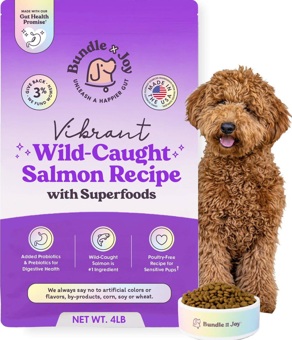 Nourriture sèche Vibrant au saumon Bundle x Joy, sac scellé, idéal pour chiens sensibles.