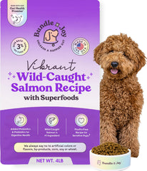 Nourriture sèche Vibrant au saumon Bundle x Joy, sac scellé, idéal pour chiens sensibles.