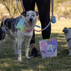Sans céréales: friandise légère idéale pour chiens sensibles