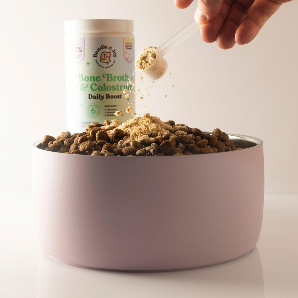 Bundle x Joy saveur boeuf pour chien: boisson savoureuse et hydratation facilitée.