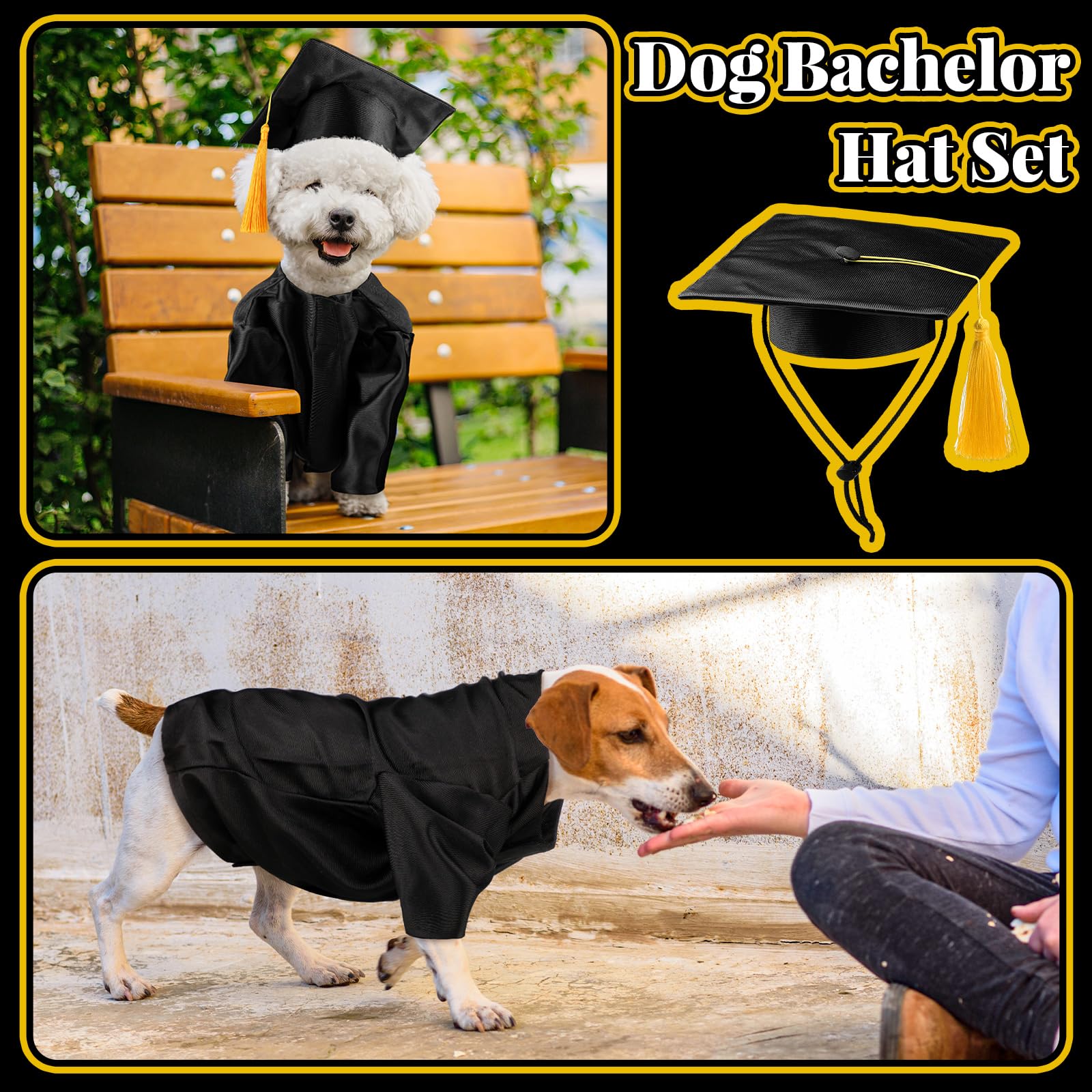 Bunnycool guide tailles chien chat noir, aide à choisir une tenue adaptée.