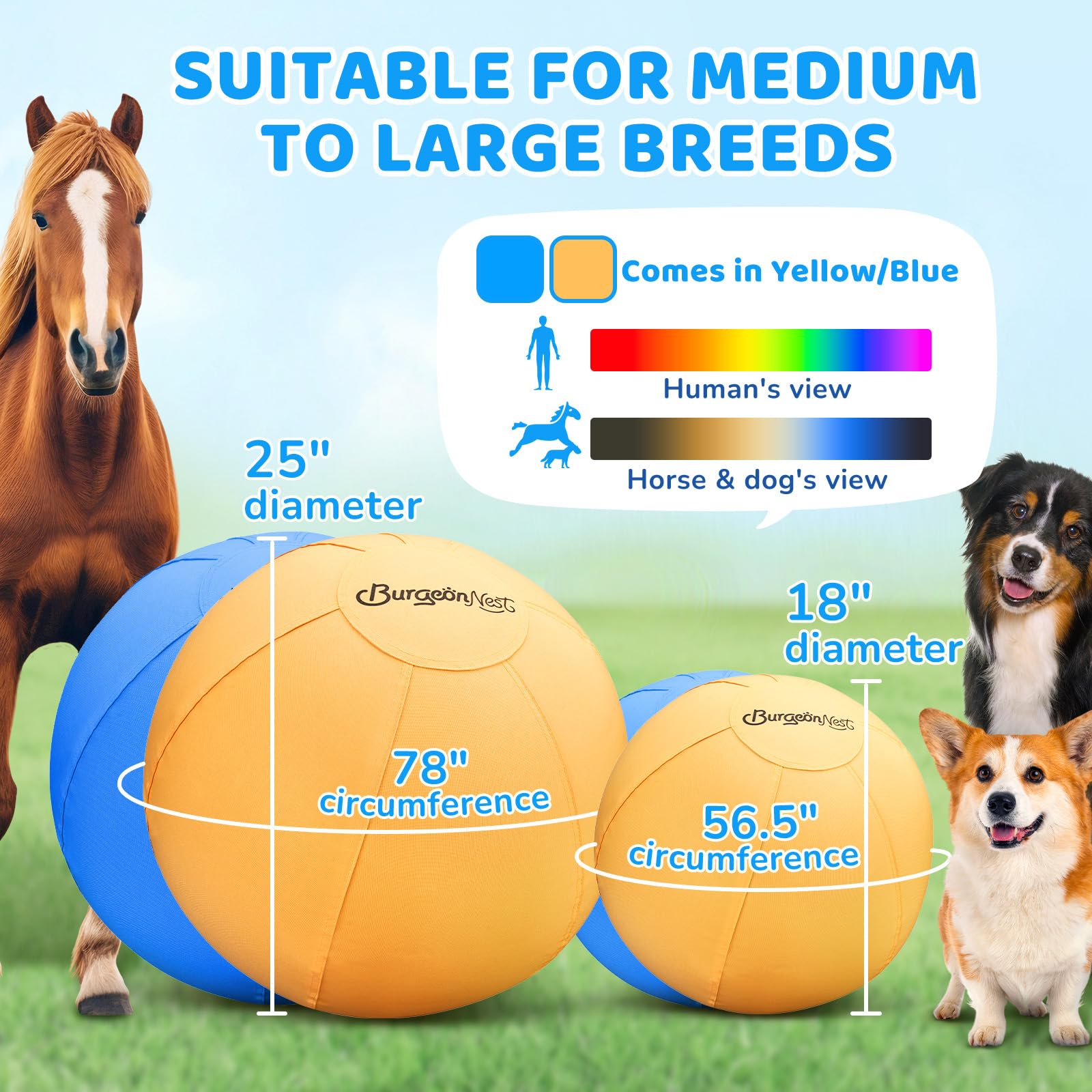 BurgeonNest balle dressage chien de bétail australien jaune, polyvalente pour entraînements et jeux