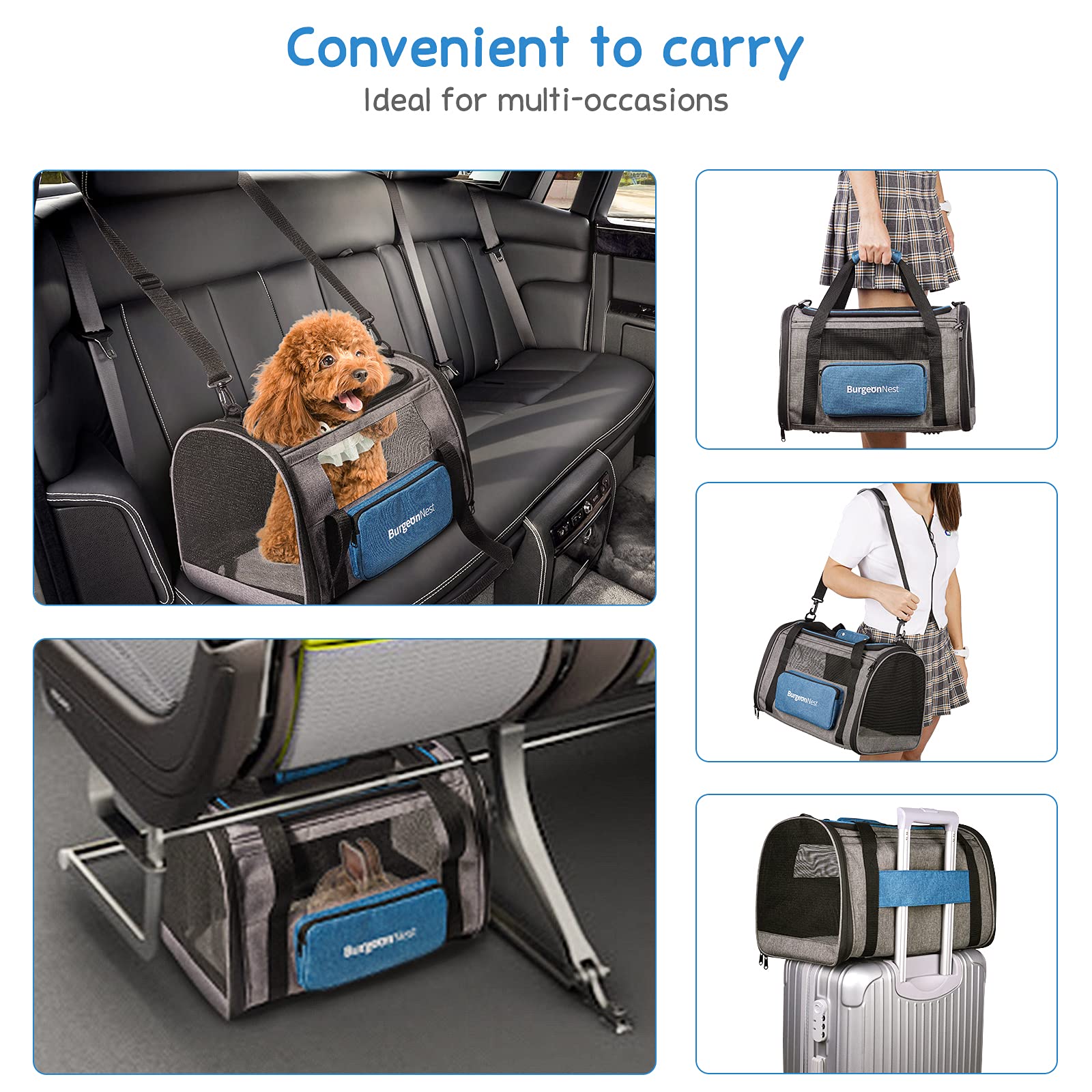 BurgeonNest design léger pour chats et petits chiens en voyage.