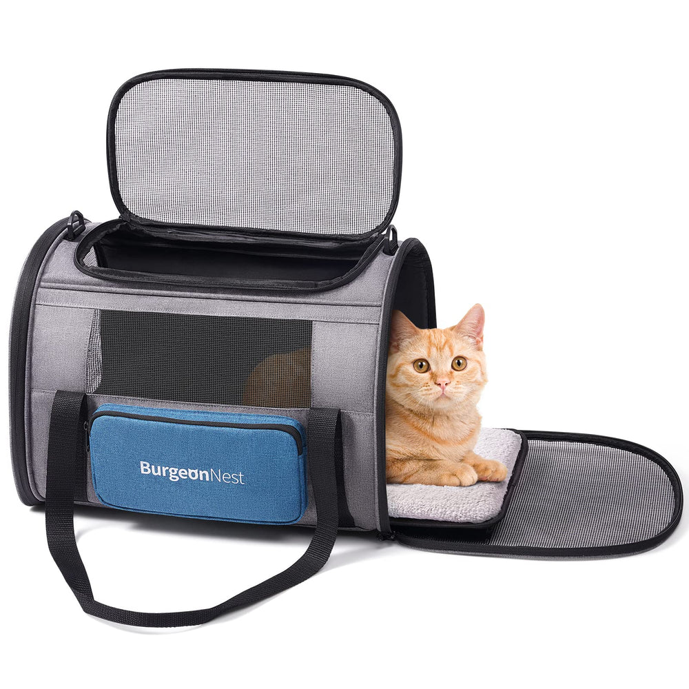 BurgeonNest transporteur chat grand avec ouverture dessus pour chargement facilité.