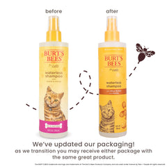 BURT'S BEES FOR PETS shampoing chat beurre karité miel pelage doux