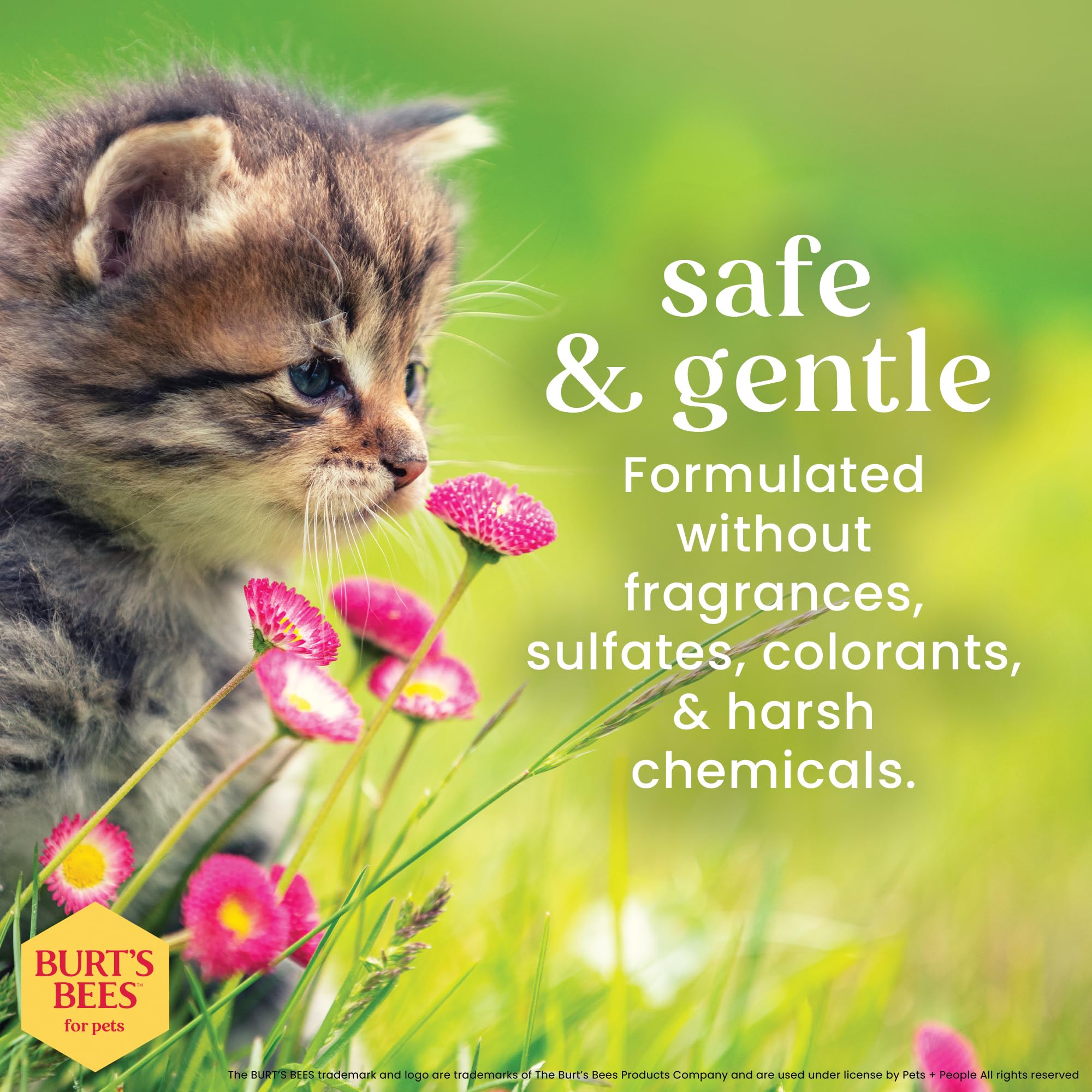 Formule 98% naturelle Burt's Bees for Pets avec huile de tournesol et germes de blé