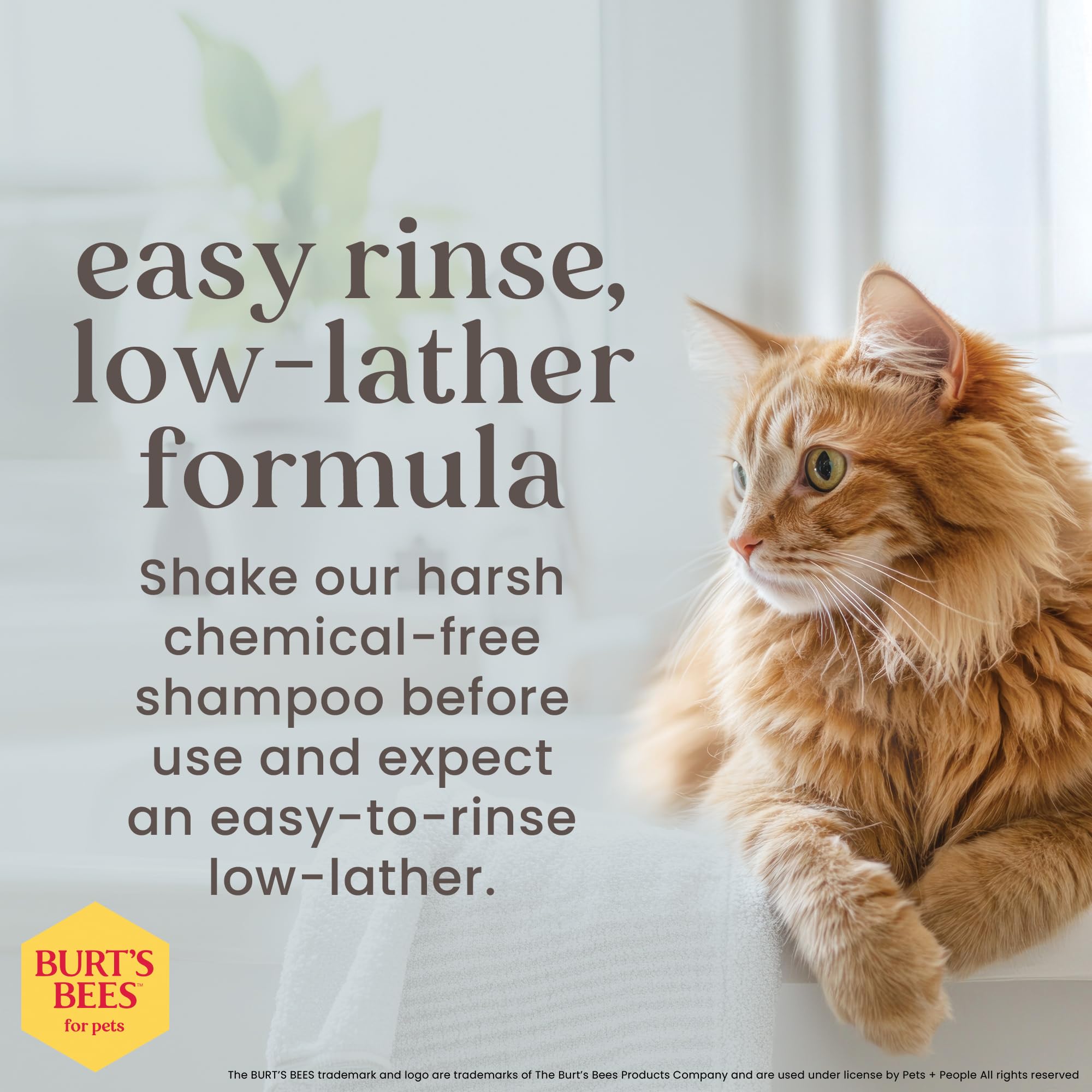 Flacon recyclable Burt's Bees pour animaux à 80 %.