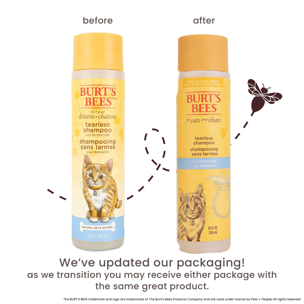 Texture du shampoing Burt's Bees chaton au lait ribot et miel.