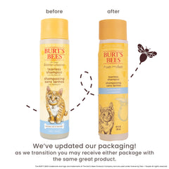 Texture du shampoing Burt's Bees chaton au lait ribot et miel.