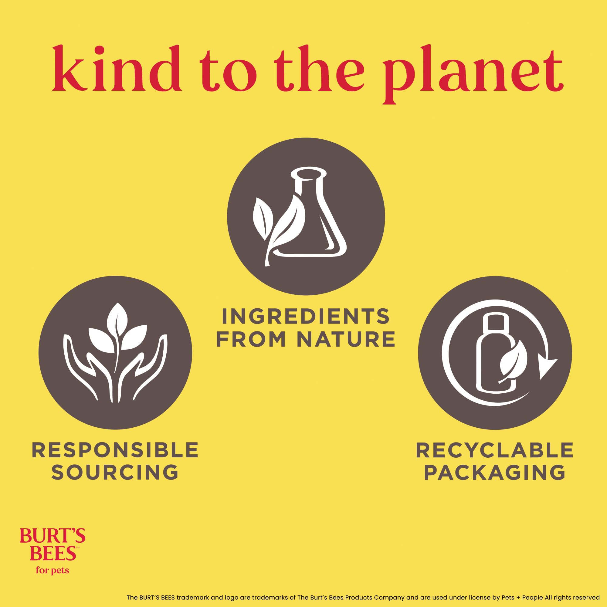 BURT'S BEES FOR PETS – Shampoing pour chats et chatons, routine de toilettage régulière.
