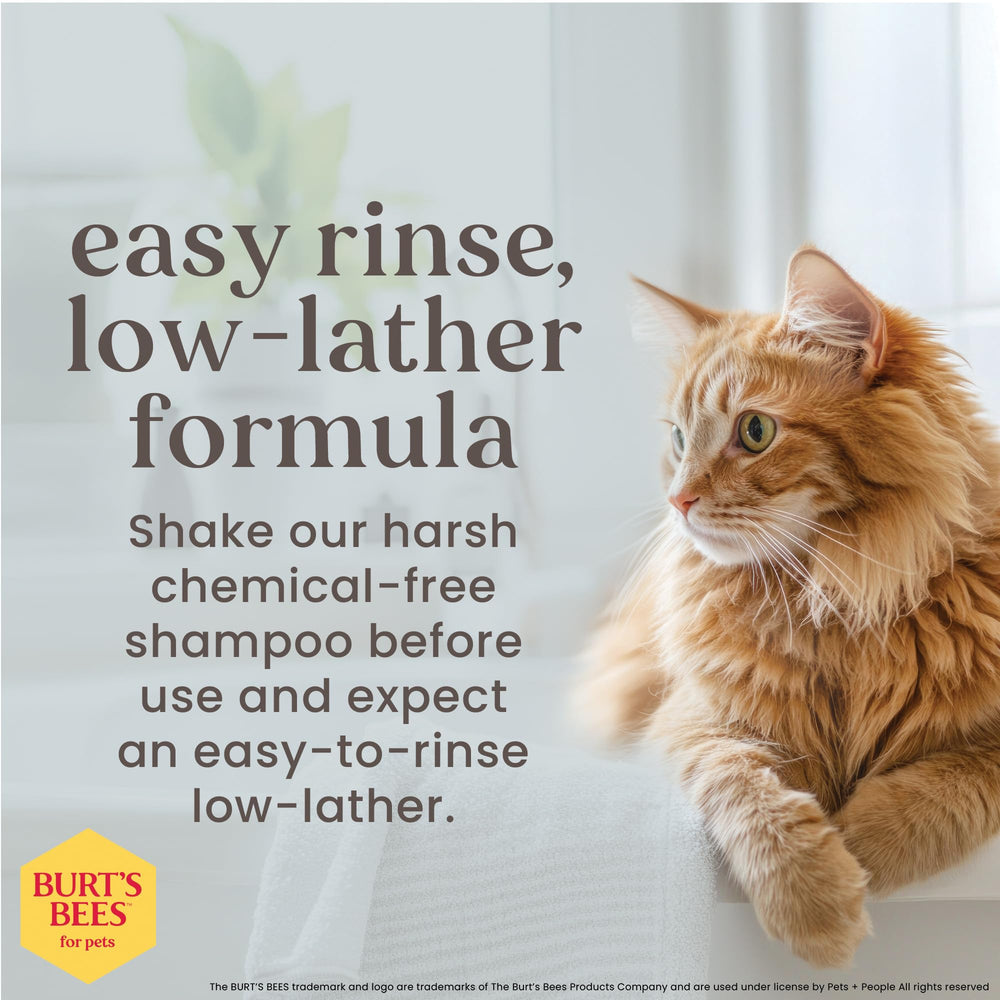 BURT'S BEES FOR PETS – Shampoing adapté peau sensible, formulation douce.
