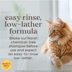 BURT'S BEES FOR PETS – Shampoing adapté peau sensible, formulation douce.
