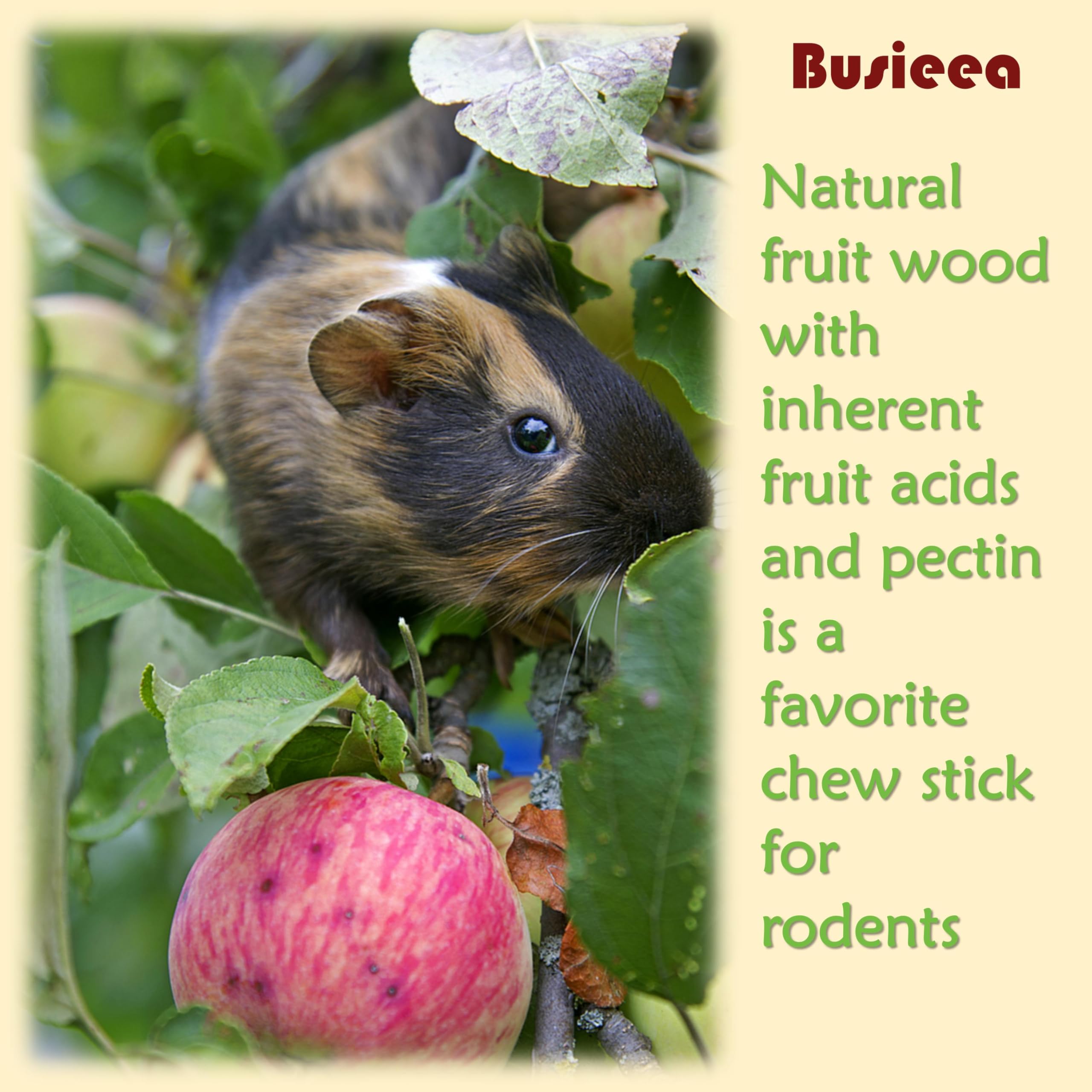 Busieea accessoire anti-ennui pour occuper les animaux avec des fruits.