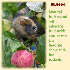 Busieea accessoire anti-ennui pour occuper les animaux avec des fruits.