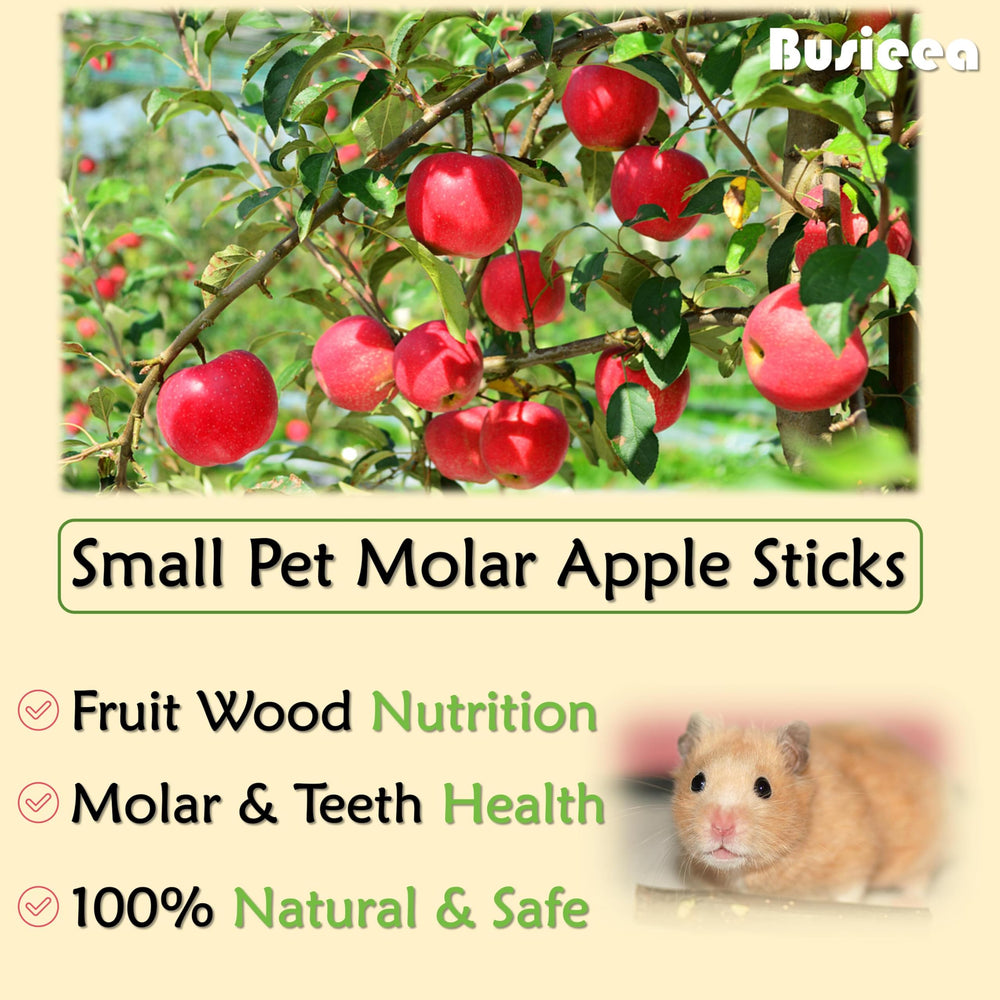 Busieea bâtons pommes naturels pour dentition et amusement des rongeurs.
