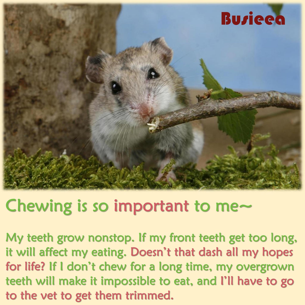 Busieea usage multi-animaux avec ce lot mini.