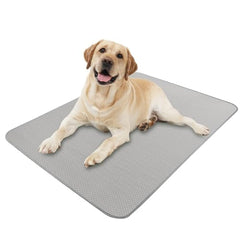 Tapis refroidissant Buvlnee pour chien et chat sur canapé, confort frais en été.