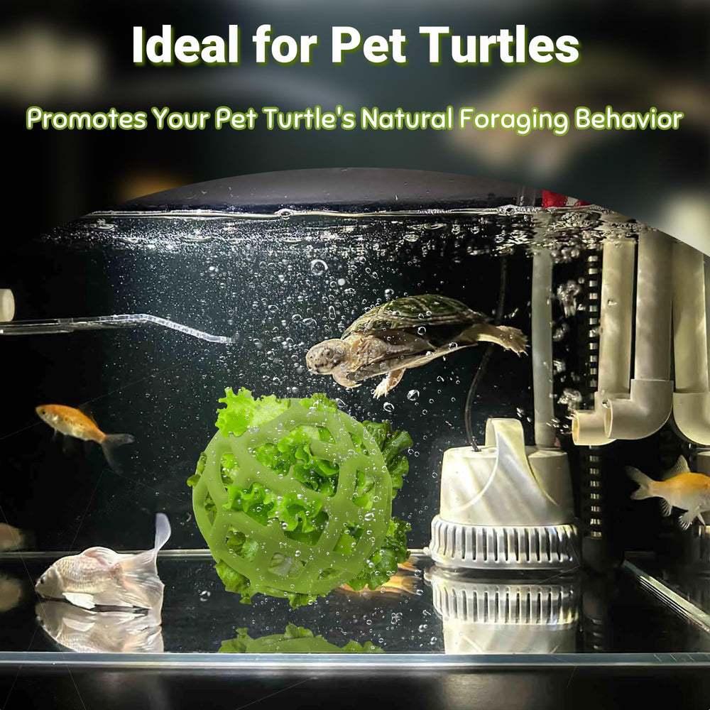 Kit d’accessoires BUYBYLOV pour tortue aquatique, enrichissement et décoration de l’habitat.