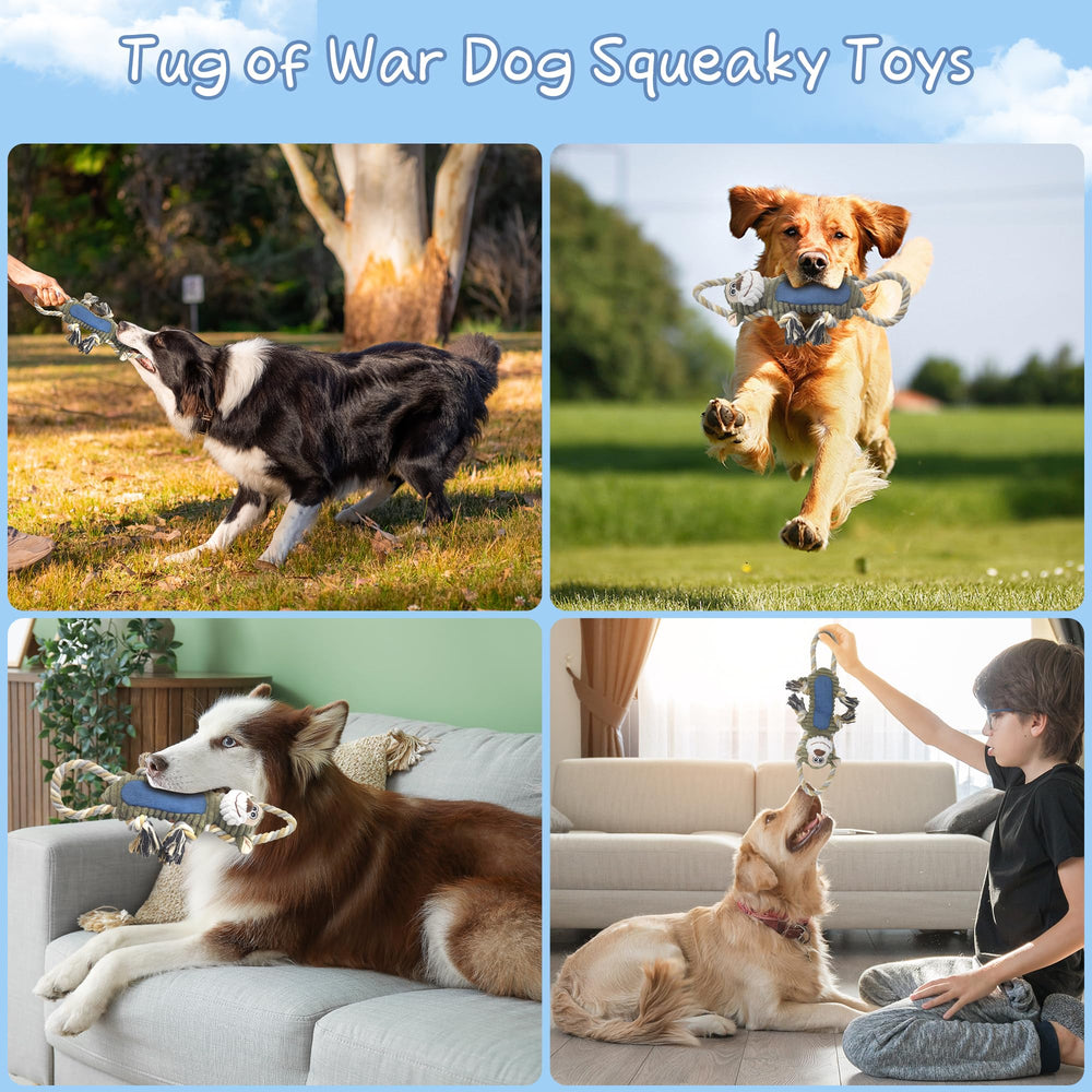 BUYPOW: disponible en tailles multiples pour petits, moyens et grands chiens.