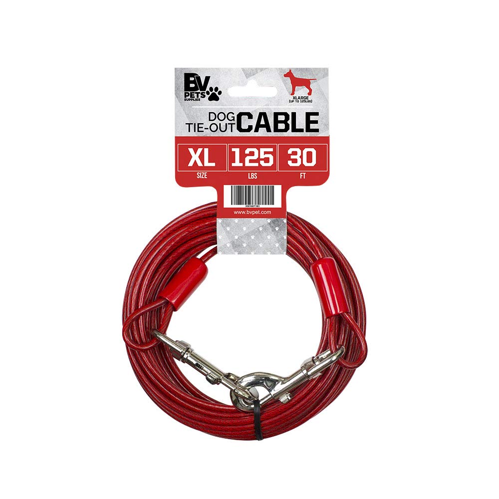 BV câble d'attache 30 pieds pour chien, liberté sécurisée.