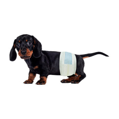 BV couches chien mâle, taille-ajustable, confort sûr pour les longues promenades