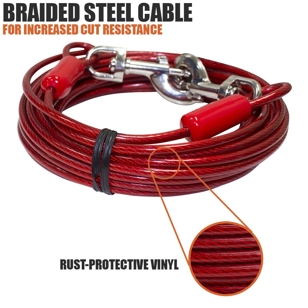 BV longe pour chien de 30 pieds en extérieur.