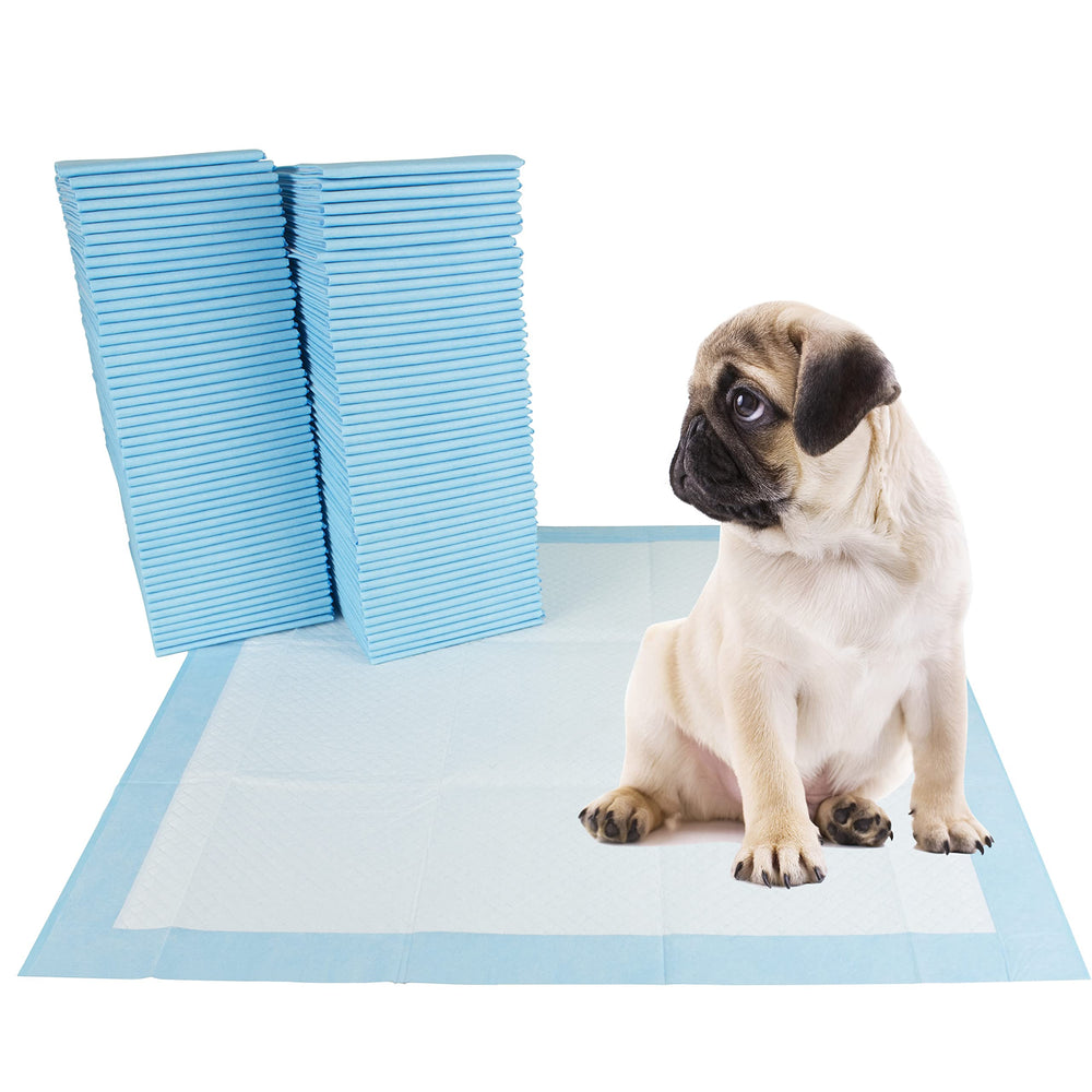  BV Tapis dressage chien XL 34x28, grande surface pour l’entraînement.