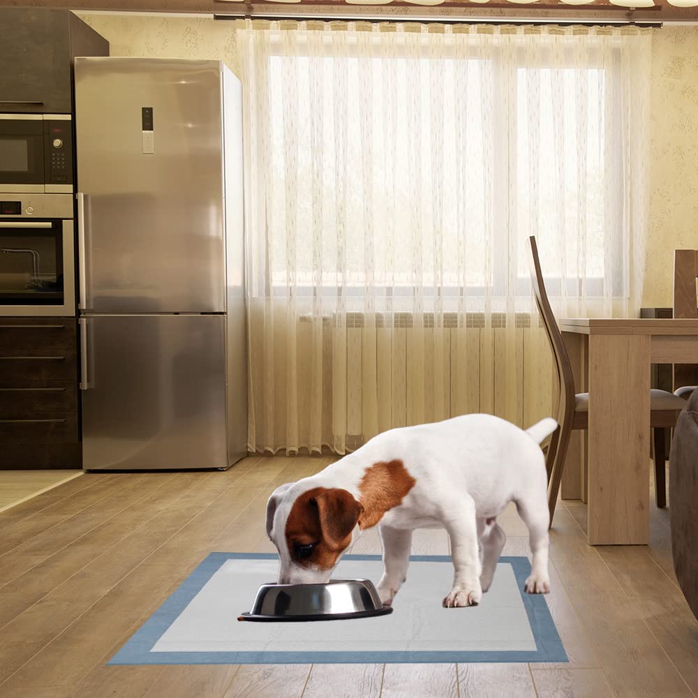  BV Tapis dressage intérieur, utilisation pratique à domicile.