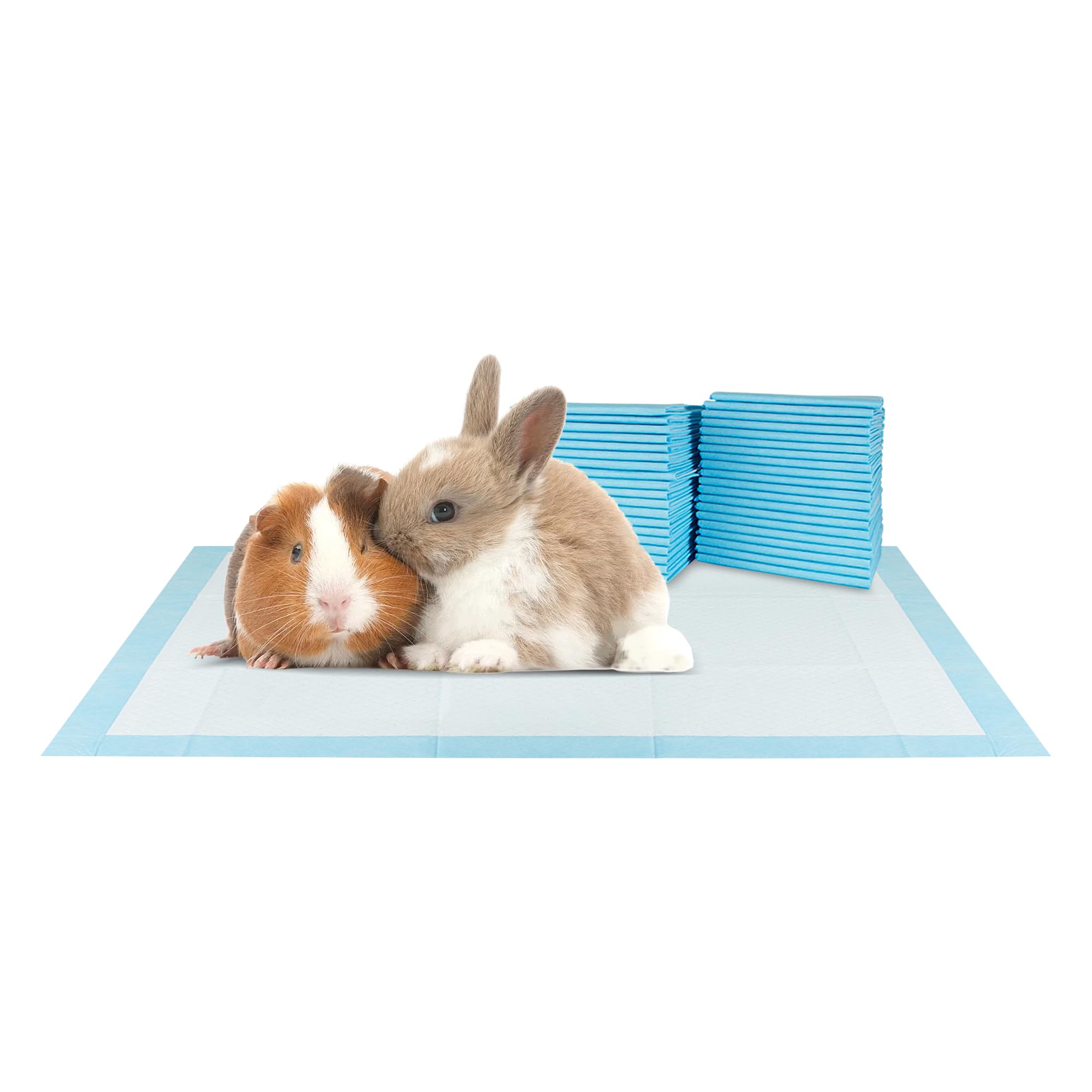 BV Tapis chiots pratique pour formation et usage en cage.