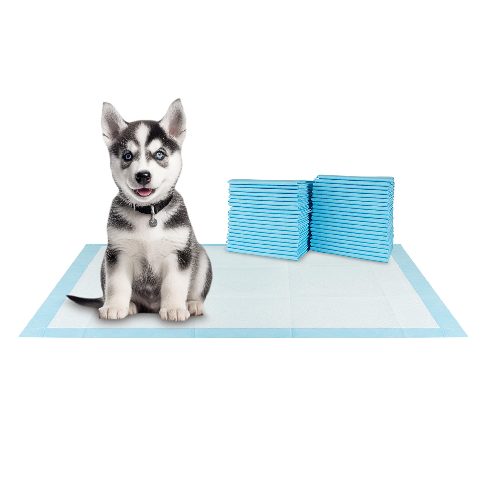 BV XXL design durable et pratique pour votre routine de propreté.
