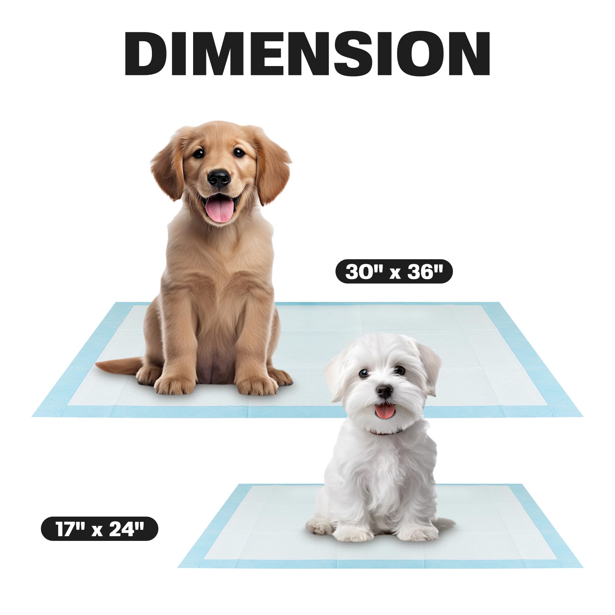 BV XXL usage intérieur pratique, adapté à plusieurs chiens.