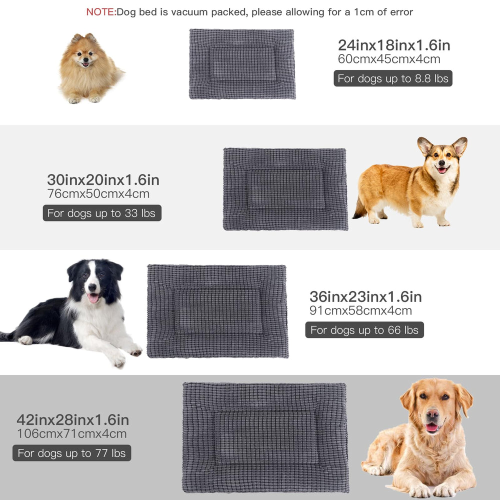 BVAGSS taille 24x18 adaptée petits chiens, confort sûr.