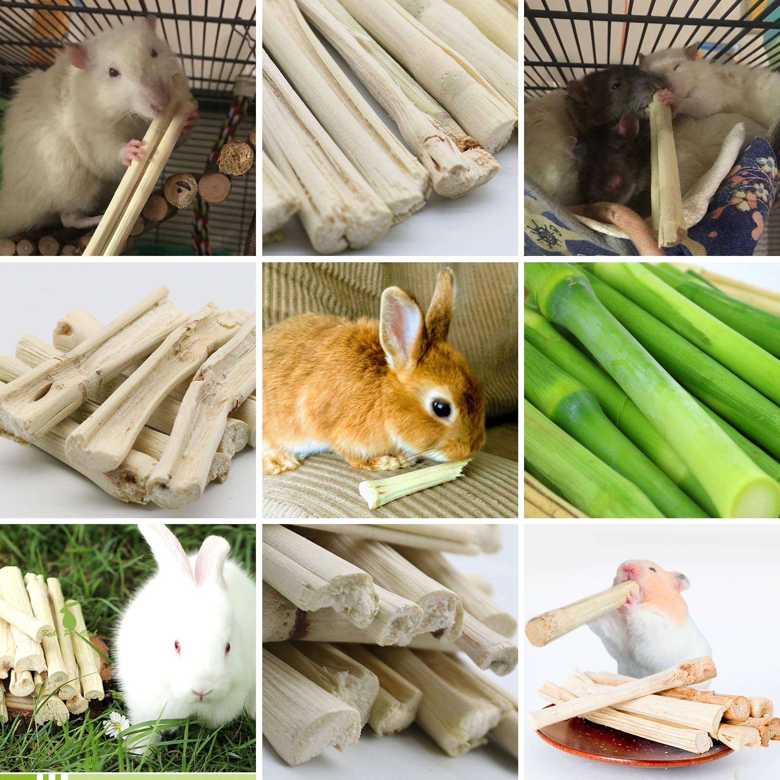 BWOGUE-activite-masticatoire-naturelle: idéal pour occuper les animaux en cage.