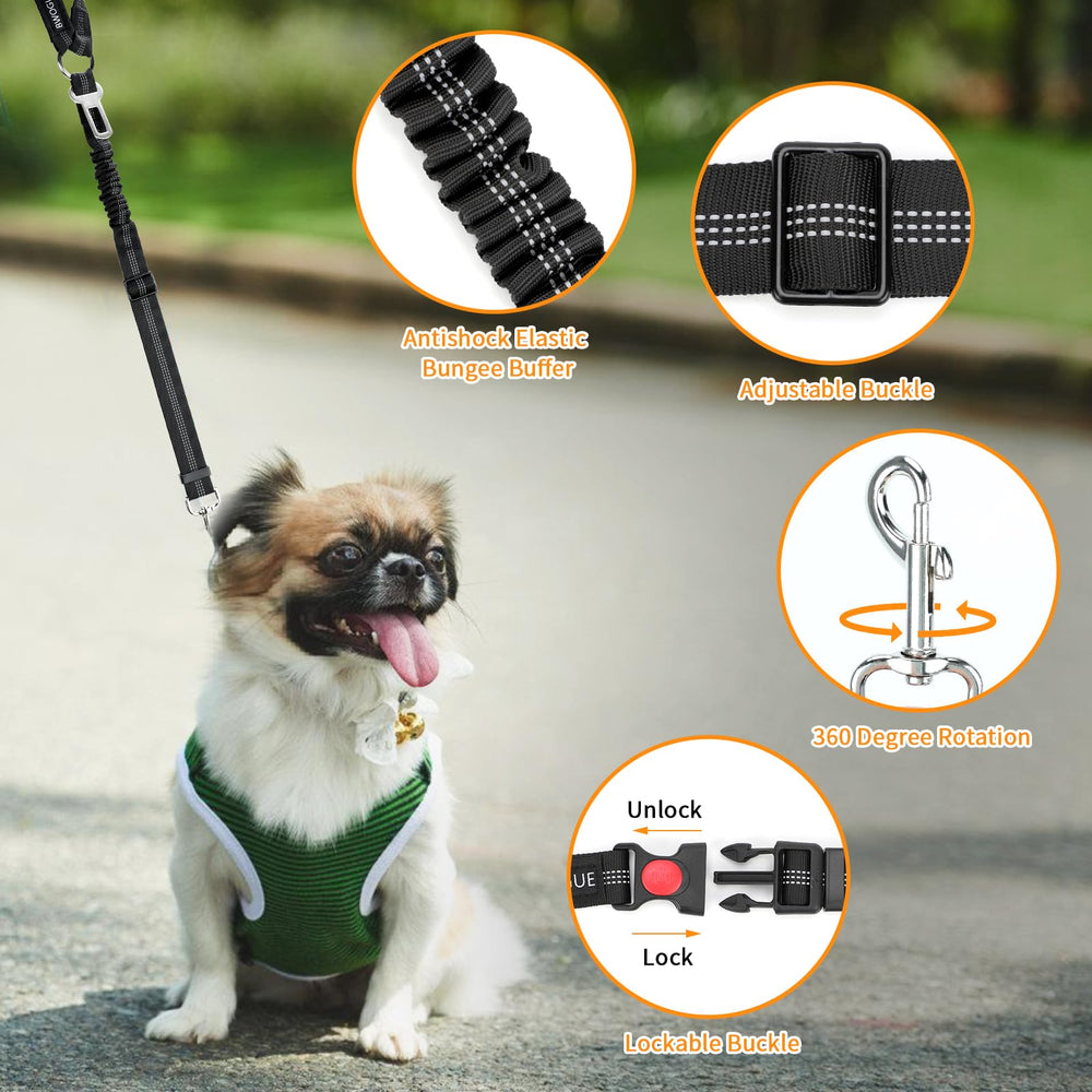 BWOGUE boucle rapide securite chien facilite l’installation