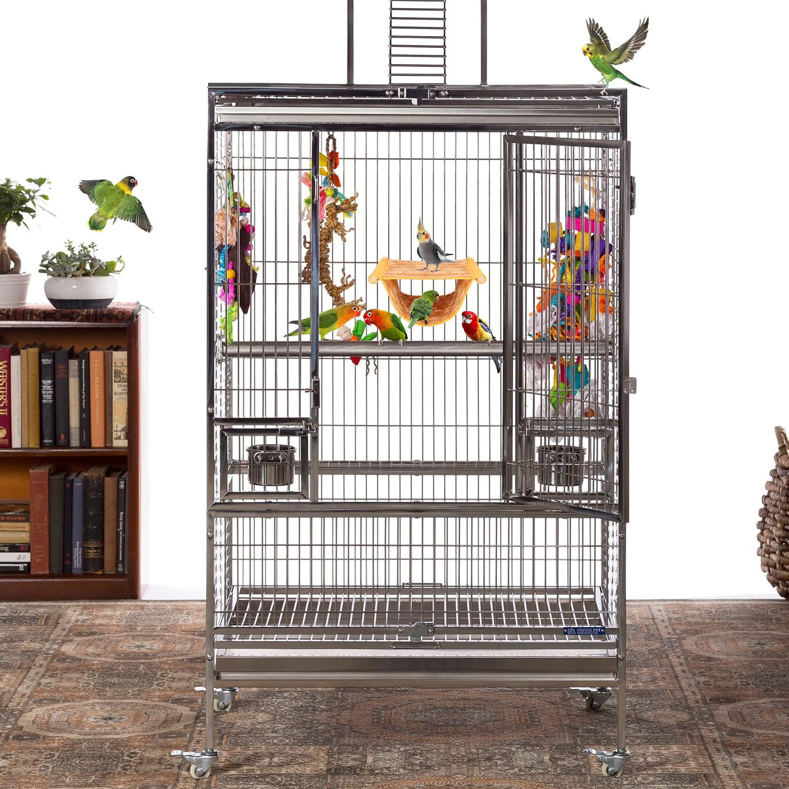 BWOGUE cadeau parfait: accessoire attrayant pour oiseaux