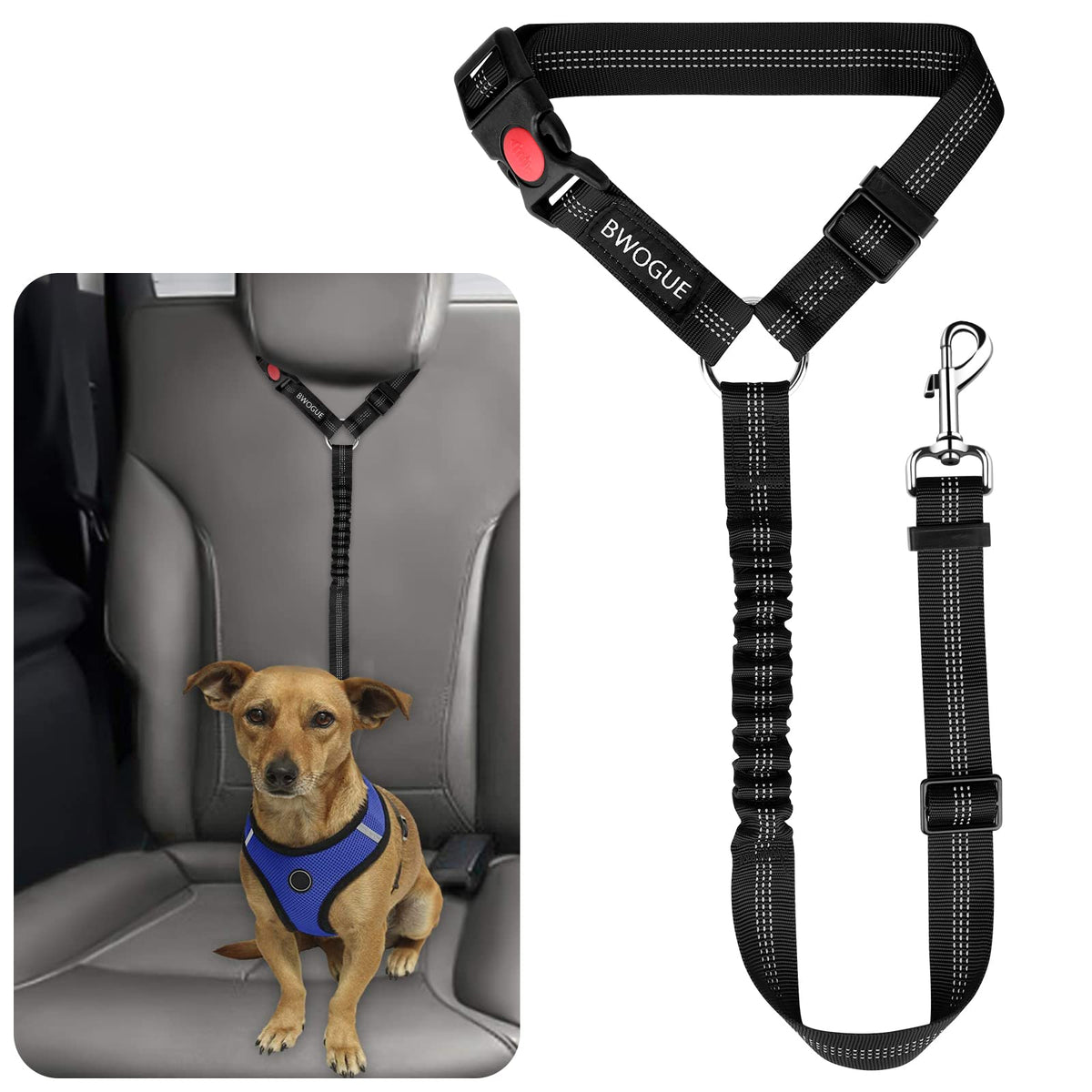 BWOGUE: ceinture sécurité chien-chat en voiture, noir, sécurité accrue.