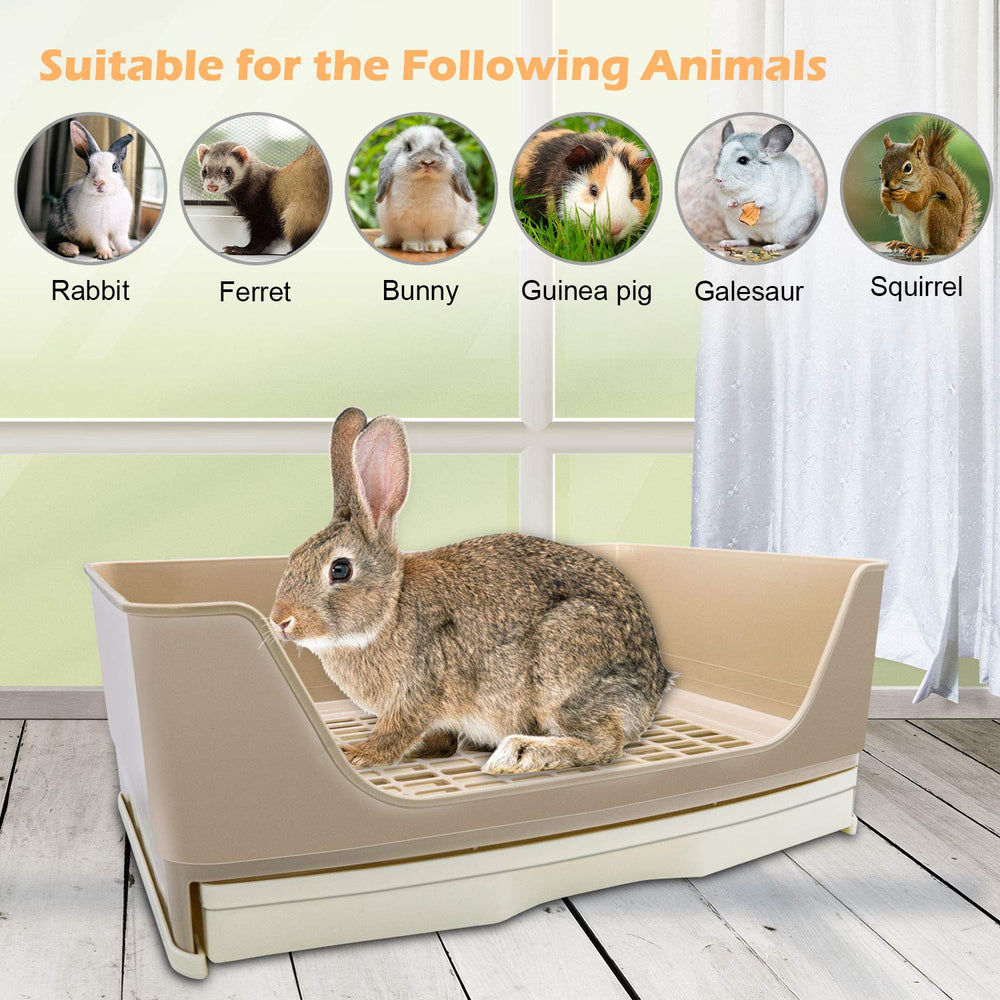 BWOGUE conception polyvalente adaptée pour plusieurs petits animaux.