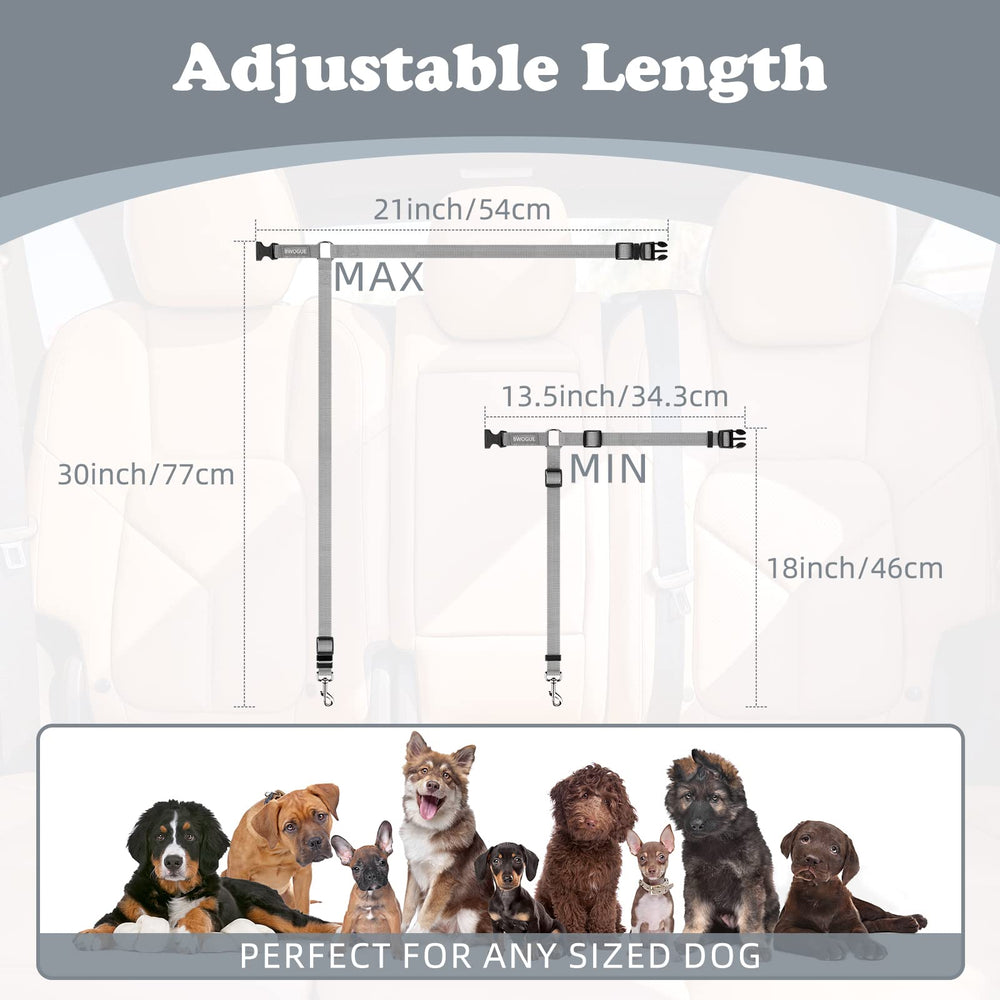 BWOGUE elastique absorbe secousses: trajet plus doux pour votre animal.