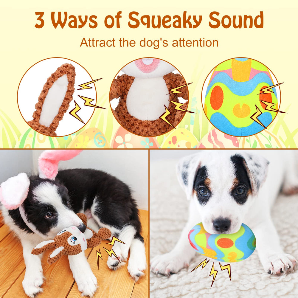 BWOGUE emballage élégant, idée cadeau pour chiots et jeunes chiens.