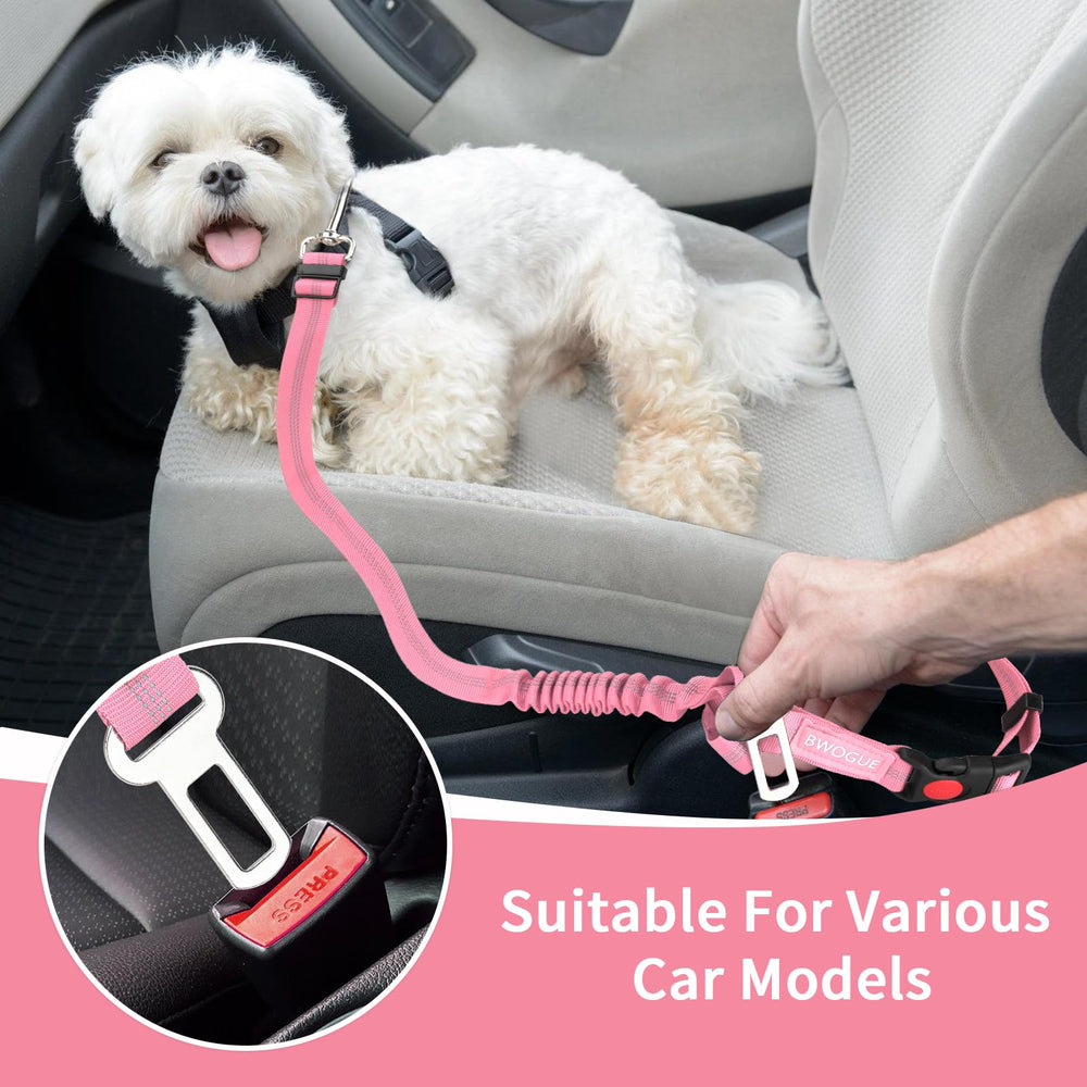 BWOGUE utilisation polyvalente pour voiture et promenade.