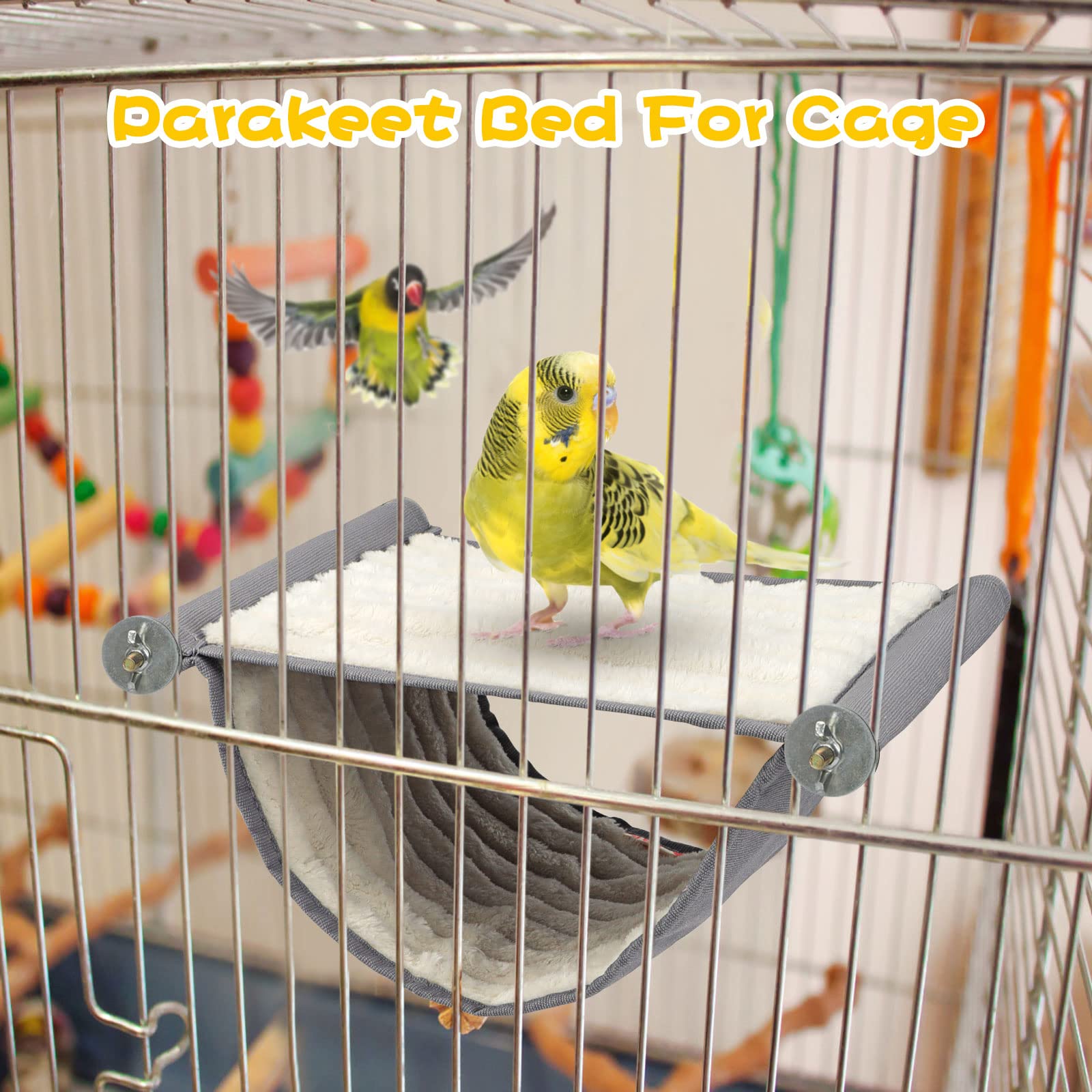 BWOGUE Idee-cadeau-oiseaux-coloré: stimule l'activité et l'intérêt