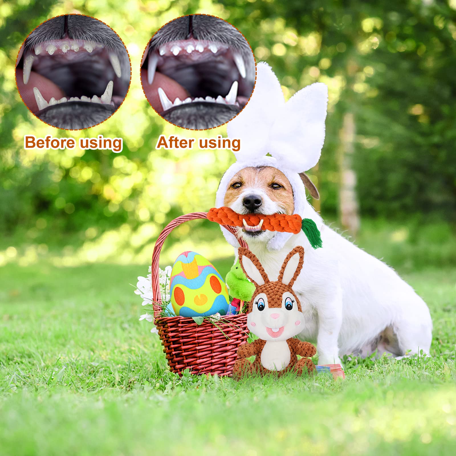 BWOGUE taille adaptée pour petits et moyens chiens, idéal en entraînement et jeu à la maison.