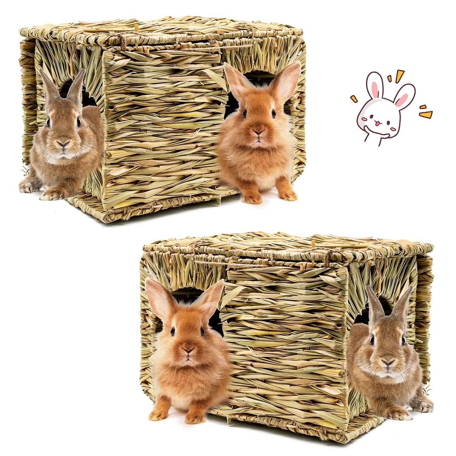 BWOGUE Maison-herbe-extra-large-lapin, refuge spacieux pour lapin et compagnons